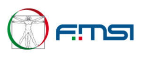 Logo FMSI